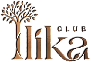 like-logo